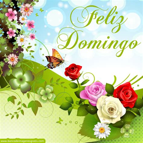 Feliz domingo deus prepare uma surpresa ara a sua vida e família, assim. BANCO DE IMÁGENES GRATIS: Imágenes con mensajes de "Feliz ...