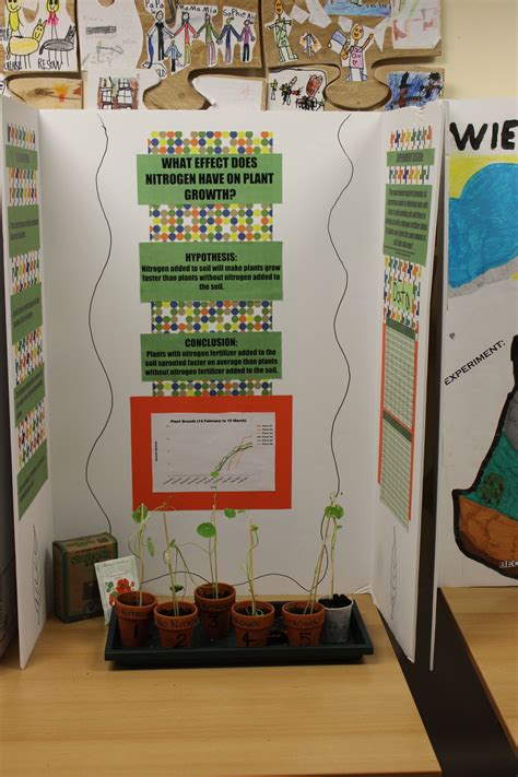 23 Plant Science Fair Projects Quyntawnee