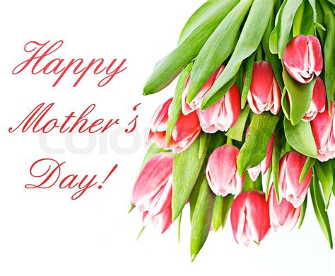 Happy Mothers Day Pink Tulip Flowers Stock Image Colourbox