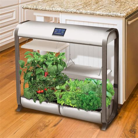 Best Hydroponic Kits For Home Gardeners