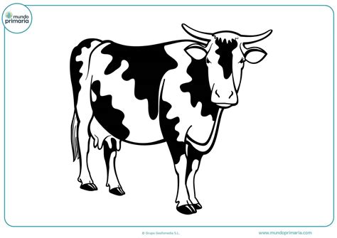0 Result Images Of Dibujos De La Vaca Para Colorear PNG Image Collection