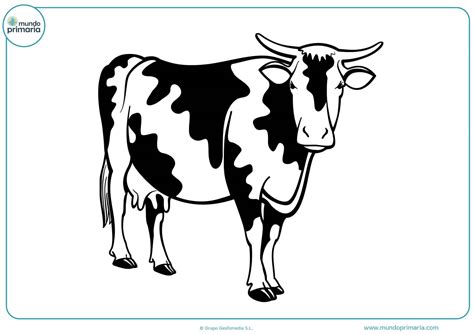 Vaca Dibujo Para Colorear