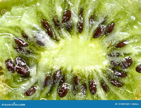 Macro Shot Of A Kiwi Fruit Stock Image Image Of Tasty