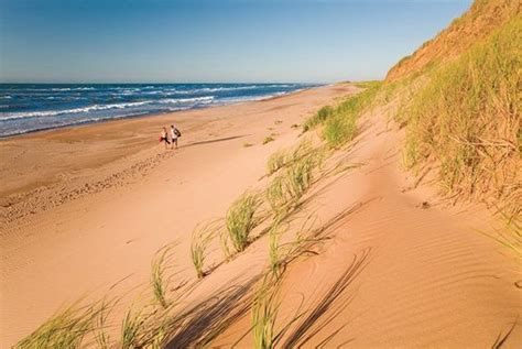 On The Dunes Of Greenwich Beach In Prince Edward Island National Park