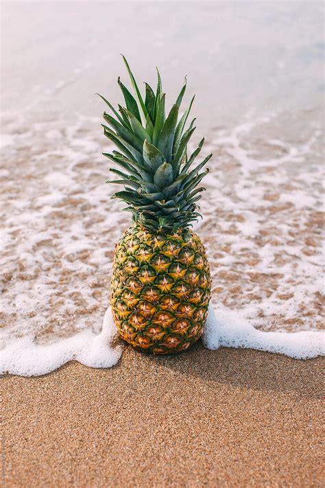 Pineapple On The Beach Summer Time Stocksy United