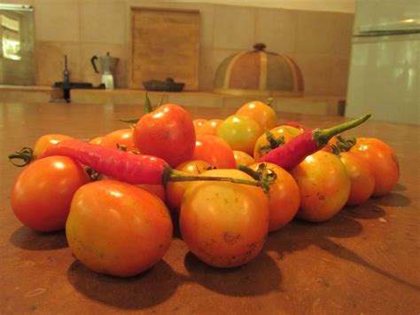 Fresh Fresh From Jiwa Damai S Permaculture Garden Tomatoe Flickr