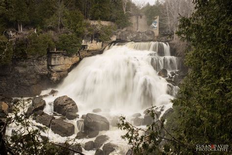 Spring Trip To Inglis Falls Susan David Photography