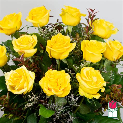 Beretanias Extra Long Stem Yellow Rose Masterpiece 30 Larger Flower