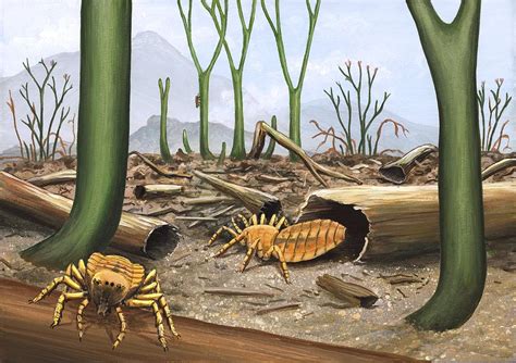 Prehistoric Invertebrates Artwork Photograph By Richard Bizley Fine