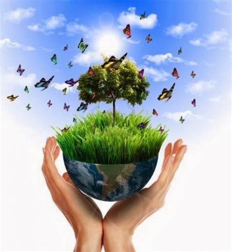 Ecología Y Educación Ambiental Importancia De La Conciencia Ecológica