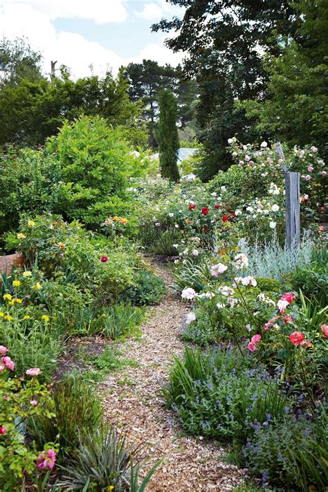 Cottage Style Rose Garden In The Southern Highlands Town