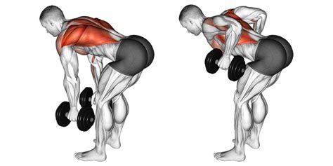 Dumbbell Lat Exercises At Home For Back Width A Lean Life