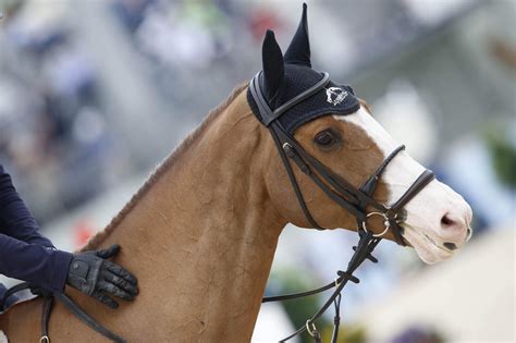 Equestrianism A Growing Business In China Equilife World