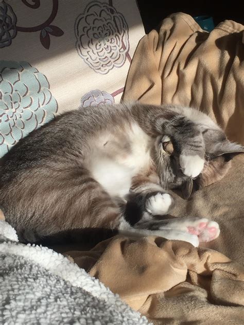 I dont wanna get out of bed either. Trying To Sleep, Getting Out Of Bed