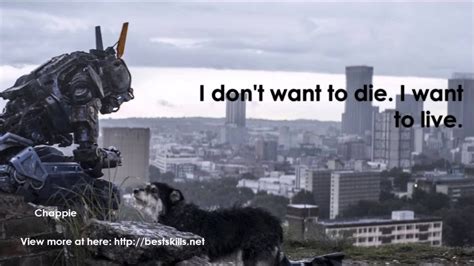 Top 20 Quotes From Chappie 2015 Youtube