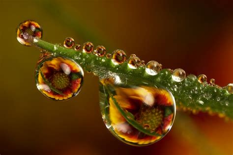 Mind Boggling Water Drop Reflections 13 Photos