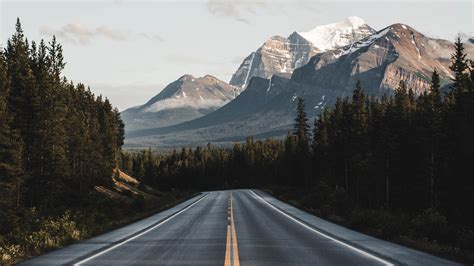 Aesthetic gif aesthetic videos retro aesthetic. nature, trees, forest, mountains, road, landscape ...