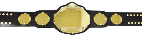 Fully Custom Championship Belt Custom Title Belts Undisputed Belts