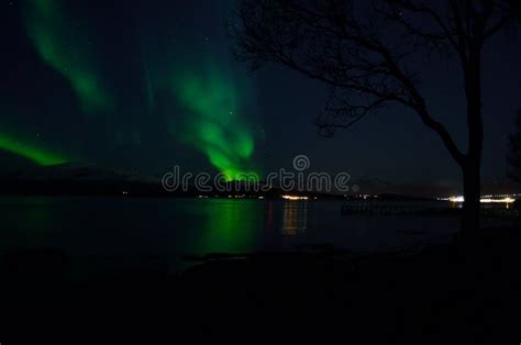 Vibrant Aurora Borealis Over Fjord And Mountain Reflecting In Sea Stock