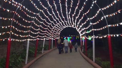 We did not find results for: Moody Gardens Festival of Lights 2019 Galveston Texas ...