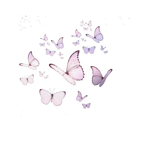 Butterfly Colorful Summer Summertime Pink Gradient Freetoedit