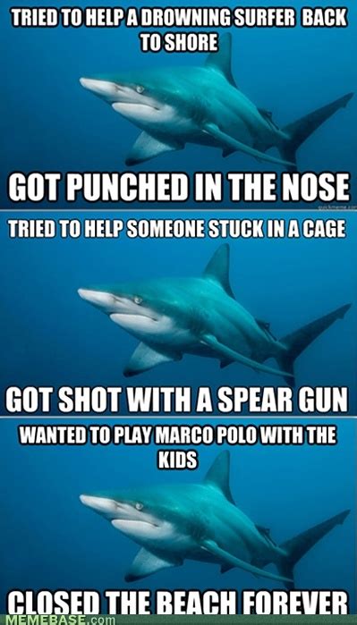 51 best shark jokes images on pinterest ha ha funny stuff and sharks