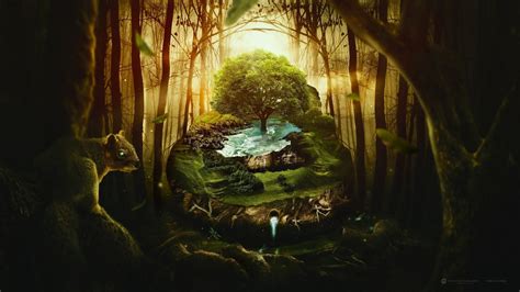 Fantasy Forest Wallpaper Hd 78 Images