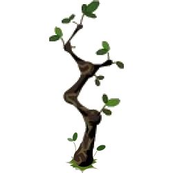 Was wir schon als kind geliebt haben ist als erwachsener nicht weniger spannend. Ebenholzbaum | Dofus | FANDOM powered by Wikia