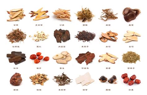 Chinese Herbal Medicine Phoenix Rehab Singapore