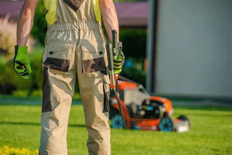 Clean air lawn care owner, andy burns, is pleased to be providing lawn care in andy has been in the organic lawn care business for over 15 years and with the clean air lawn care family since 2011. services - Bothell, WA - Davy D's Yard Maintenance