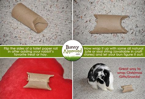 Diy Rabbit Toy Ideas Bunny Approved House Rabbit Toys Snacks And