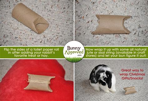 Deviantart is where art and community thrive. DIY Rabbit Toy Ideas | Rabbit toys, Homemade rabbit toys ...