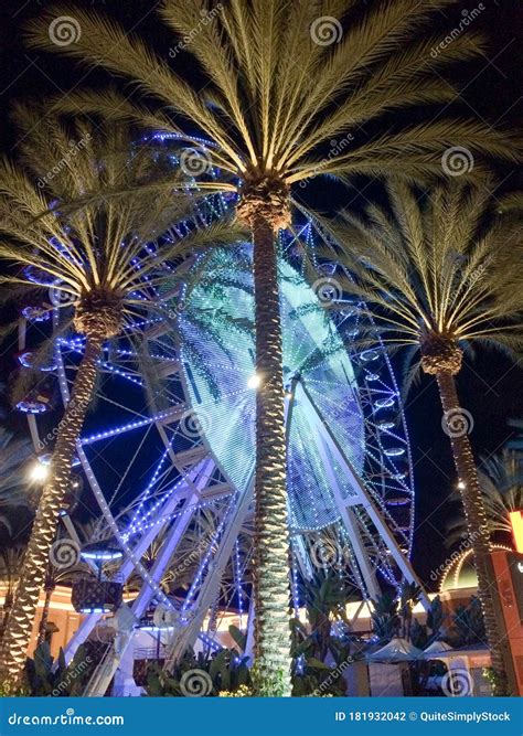 Ferris Wheel And Palm Trees Illuminated At Night Colorful Light Stock