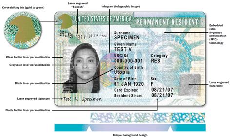 Us Citizenship And Immigration Services Permanent Resident Green Card