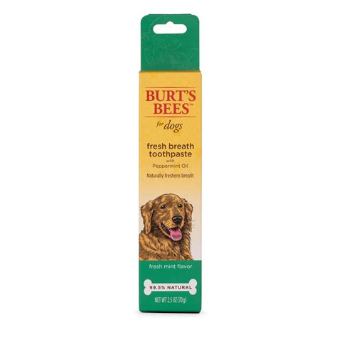 Burts Bees Care Plus Fresh Breath Toothpaste With Peppermint Oil For