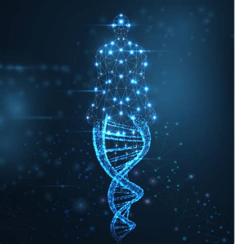 Dna Person Illustrations Royalty Free Vector Graphics And Clip Art Istock