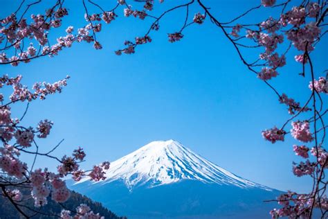 Mt Fuji Fromtokyo Featured Japan Avis Blog