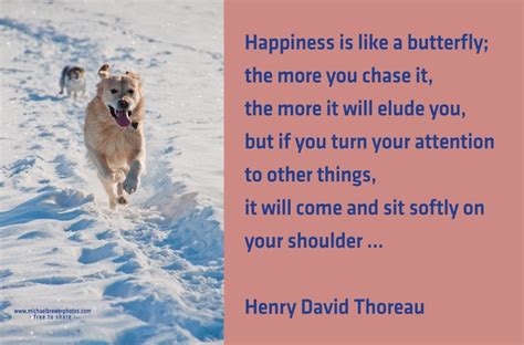 Happiness Is Like A Butterfly Henry David Thoreau Henry David