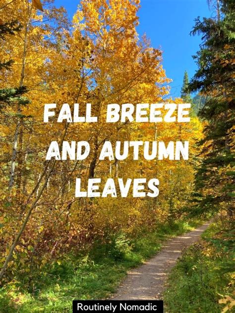 250 Fall Captions Perfect Autumn Captions Routinely Nomadic