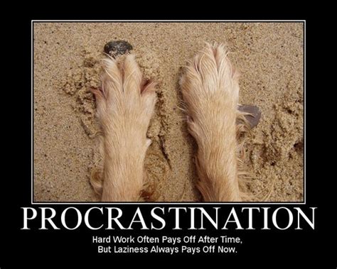 What are hard work pays off image quotes? Why you procrastinate — Pop Economics