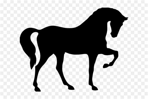 Silueta De Caballo Png Transparent Png Vhv