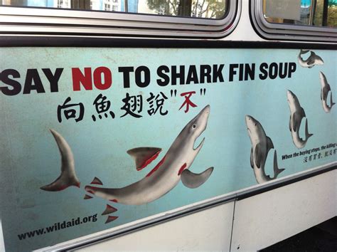 Say no to harthal ретвитнул(а) veneesa carmel #withrg. A Brief History of Shark Fin Soup