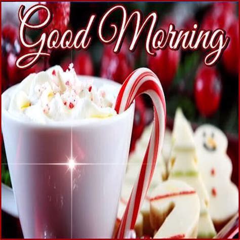 Christmas Good Morning Pictures Photos And Images For Facebook