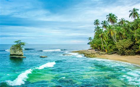 Costa Rican Beach Hd Wallpaper Hintergrund 2560x1600 Id872773