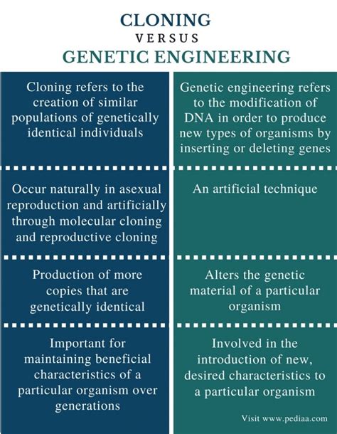 Difference Between Cloning And Genetic Engineering Definition Types Process Role And