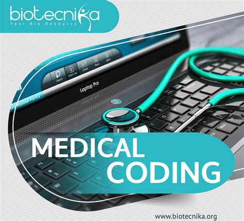 Medical Coding Basics Online Training Program — Biotecnika Store