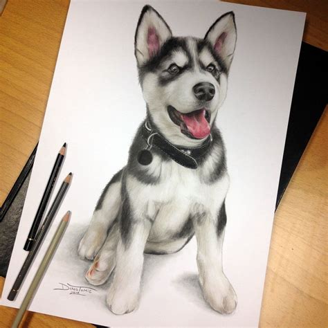 Puppy Pencil Drawing Dog Portrait Drawing Animal Drawings Cute Drawings