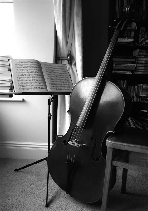 Cello In Black And White Cello Cello Photography Music Motivation