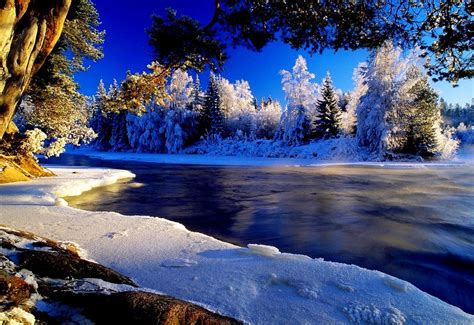 Зима, Природа, Сніг - заставка на телефон 🔥 ТОП Безкоштовні фото
