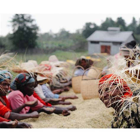 Gardelli specialty coffees is a roastery based in forlì, italy. Etiopie BASHA BEKELE | Gardelli Coffee | Kofio.cz